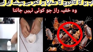 Safe And Effective Way To Kill CockroachesRemedies To Get Rid Of CockroachesKitchen Safe Remedy [upl. by Airdnat]