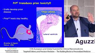 Prions Deadly Self‐replicating Nanomachines [upl. by Margalo]