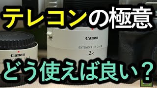 テレコンの極意。超望遠レンズテクニック。 [upl. by Bocoj]