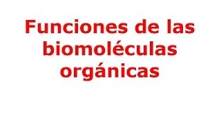 Funciones de las biomoléculas orgánicas [upl. by Josee]