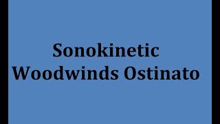 Sonokinetic Woodwinds Ostinato Walkthrough [upl. by Lepley]