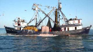 BARCOS SARDINEROS DE YAVAROSwmv [upl. by Brent]