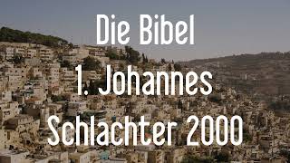 1 Johannes  Die Bibel als Hörbuch Schlachter 2000 [upl. by Yle]