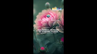 MAHEREZA HATRANY SY VONONA FOANA [upl. by Robenia]