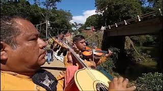 Mariachi le canta al Puente Roto [upl. by Mahsih]