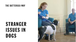 Stranger Issues in Dogs  The Battersea Way [upl. by Ikcaj]