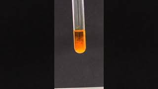 Testing for Aldehydes amp Ketones  24DNP [upl. by Adnirb]