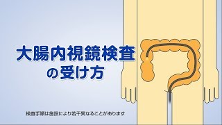 「大腸内視鏡検査の受け方」（オリンパス「おなかの健康ドットコム」） [upl. by Merril]