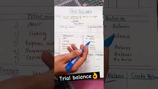 Trial balance class 11 practical problems  Meaning of trial balance  class11accounts [upl. by Siwel]