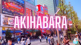 5 THINGS TO DO in AKIHABARA Tokyo Japan [upl. by Silvano]