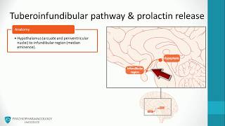 Antipsychotics Dopaminergic Pathways and Advanced Mechanisms [upl. by Kesley]