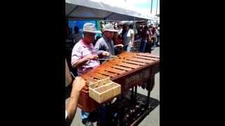 COSTA RICA MARIMBA FERIA DEL AGRICULTOR EN GUADALUPE SAN JOSE [upl. by Edrei287]