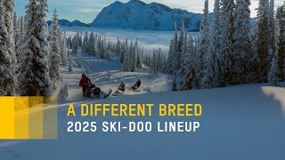 The 2025 SkiDoo Lineup is Here [upl. by Kristin]