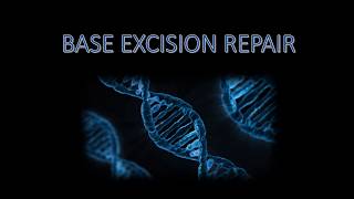 Base Excision Repair basic animation [upl. by Akineg337]