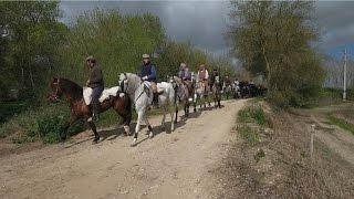 Passeio a Cavalo Salvaterra de Magos 2017 [upl. by Alaine]