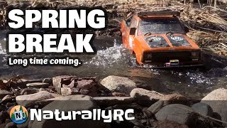 Spring Break Sun Sparkling on Creeks  RC Crawler  Nature Experience At Its Best [upl. by Ylahtan]