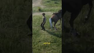 Insane details in red dead redemption 2 shorts videogames rdr2 reddeadredemption eastereggs [upl. by Wat]