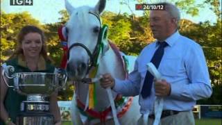 The 2012 Clifden Connemara Pony Show Part Two [upl. by Templa]