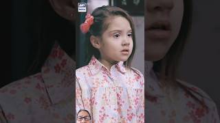 Kis383 entertainment merehumsafar arydigital haniaamir [upl. by Rhetta]