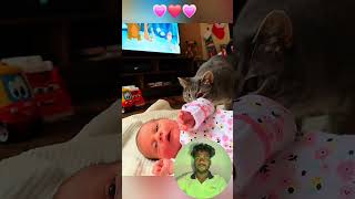 Cute stories about babies and cat ❤️cute animals foryou typAdjustpet cat dog [upl. by Lukey]