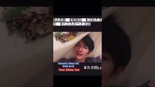 Haruma’s Nihon Sei Shelf Part 6 from Ehim [upl. by Thatcher]