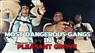 Most Dangerous Gangs in Pleasant Grove [upl. by Aralk]