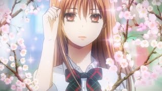 Chihaya amp Taichi  Chihayafuru [upl. by Airotna]