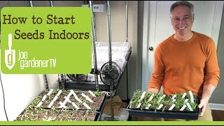 How I Start Seeds Indoors Tips amp Techniques [upl. by Kitti]