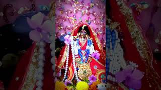 Hare krishna radhe radhe youtubeshorts shortsvrinavandham [upl. by Kalfas899]