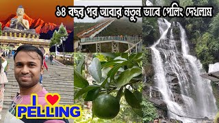 Top Pelling Tourist Place  Sikkim Tour in Bengali  Sikkim Skywalk  Sikkim Sightseen Places [upl. by Ethbin]