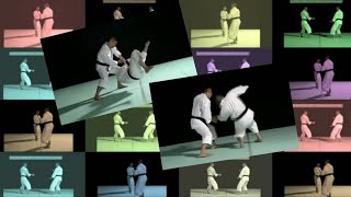 shorinji kempo  best embu performance  少林寺拳法 [upl. by Jessalin]