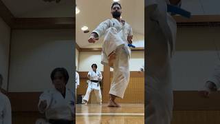 TRAINING IN JAPAN OHAN DAI [upl. by Esinereb]