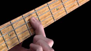 Learn Bass  How to Fret the Strings [upl. by Ecerehs]