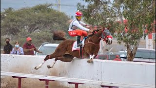 Accidentes en Carreras de Caballos Lamentable accidente En la Carrera del Domingo Vs El Pacifico [upl. by Katherine]