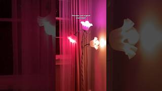 Setting up my flower lamp unboxing lighting homedecor floorlamp flowerlamp cozylights [upl. by Thomasina708]