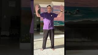 MICROCOSMIC ORBIT QI GONG SELF HEALING PRACTICE qigong microcosmicorbit selfhealing practice [upl. by Gwenny]