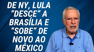 Recebem bolsa família e gastam em apostas [upl. by Gnehs]