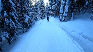 Kasprowy Wierch zjazd nartostradą do samego Zakopanego 20190121 [upl. by Ihteerp]