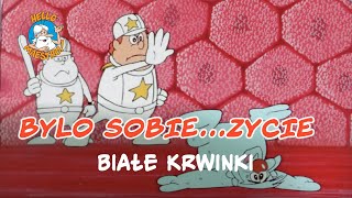 Bylo Sobie Zycie 🌱 Białe krwinki 🧘 [upl. by Phaedra]