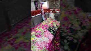 🥰 Mira Datar Dargha🥰 New Status Qawwali🥰 All Problem Solution  Dargha Sharif mo91 9879592386 [upl. by Naik196]