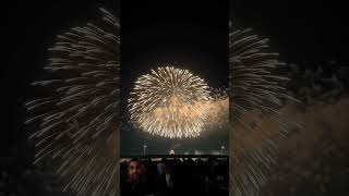 🥰🎇🎆 trending 2023 feuerwerk pyrotechnics bestfireworks pyroforlife viralvideo youtubeshorts [upl. by Wojak990]