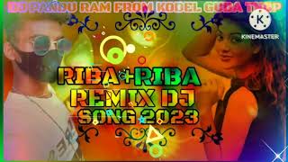 RIBA RIBA REMIX DJ SONG 2024 [upl. by Atinaej415]