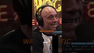 Joe Rogan Tells CRAZY Story About Sugarman🤯 [upl. by Ute]