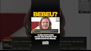 GLEISI HOFFMANN CULPA BOLSONARO POR QUEIMADAS NO BRASIL [upl. by Kerri]