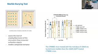 Evaluation of the Efficacy of CTNNB1 AAV9 Therapy on a Mouse Model  Dr Duško Lainšček [upl. by Beutner609]