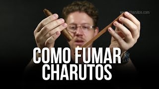 Como Fumar um Charuto  Como Degustar um Charuto  Degustando Charutos [upl. by Earlie527]