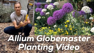 Allium Bulb Planting Demonstration Tutorial on How to Plant Fall Bulbs [upl. by Rovaert]