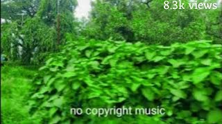 Background music  no copyright music Nocopiright [upl. by Itnahs]