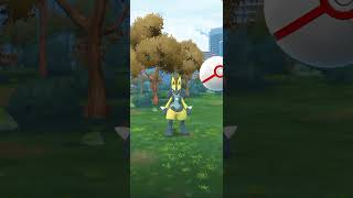 shiny Lucario mega evolution in pokemon go shinymegalucari [upl. by Fleming]