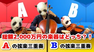 格付けチェック！総額2000万円の高級楽器はどっち？イヤホン推奨！弦楽三重奏（バイオリン・チェロ・ビオラ）で聴き比べ [upl. by Lozano]